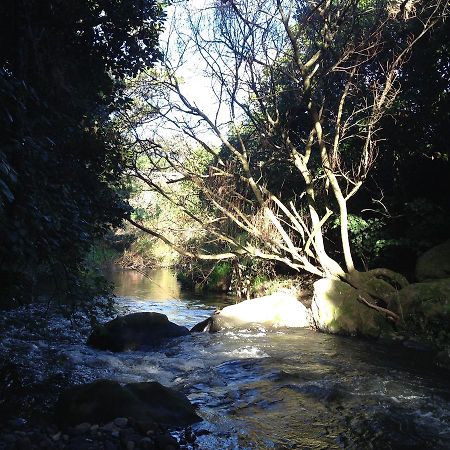 Punehu Stream Cottage Opunake 외부 사진